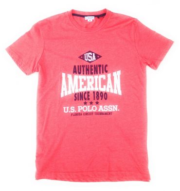 Camiseta US Polo Assn AMERICAN